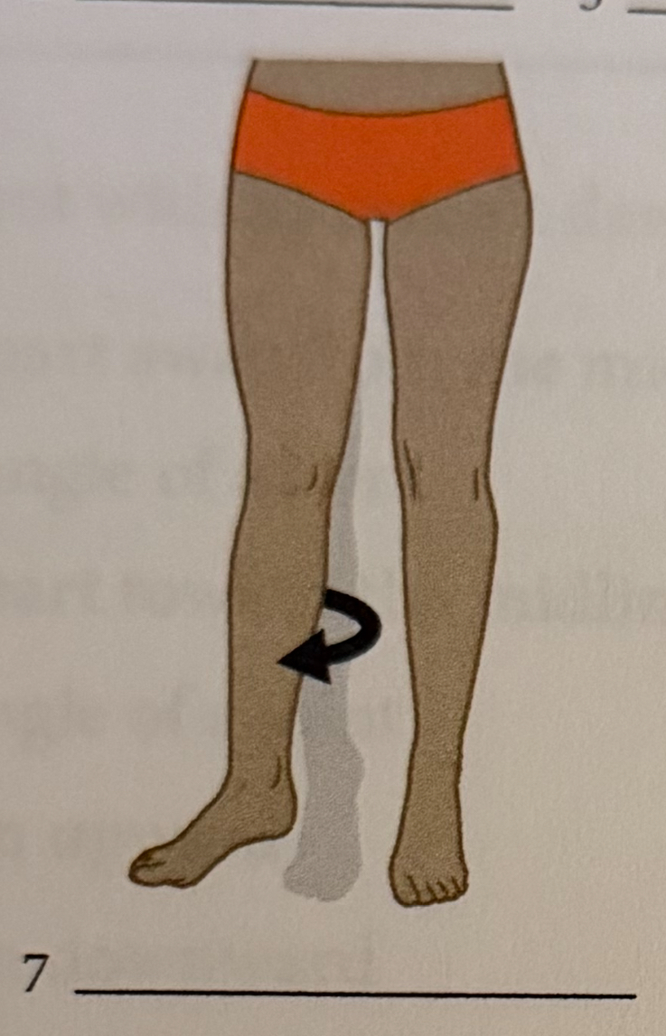 <p>moving a body part around an axis</p>