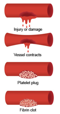<p>Hemostasis events</p>