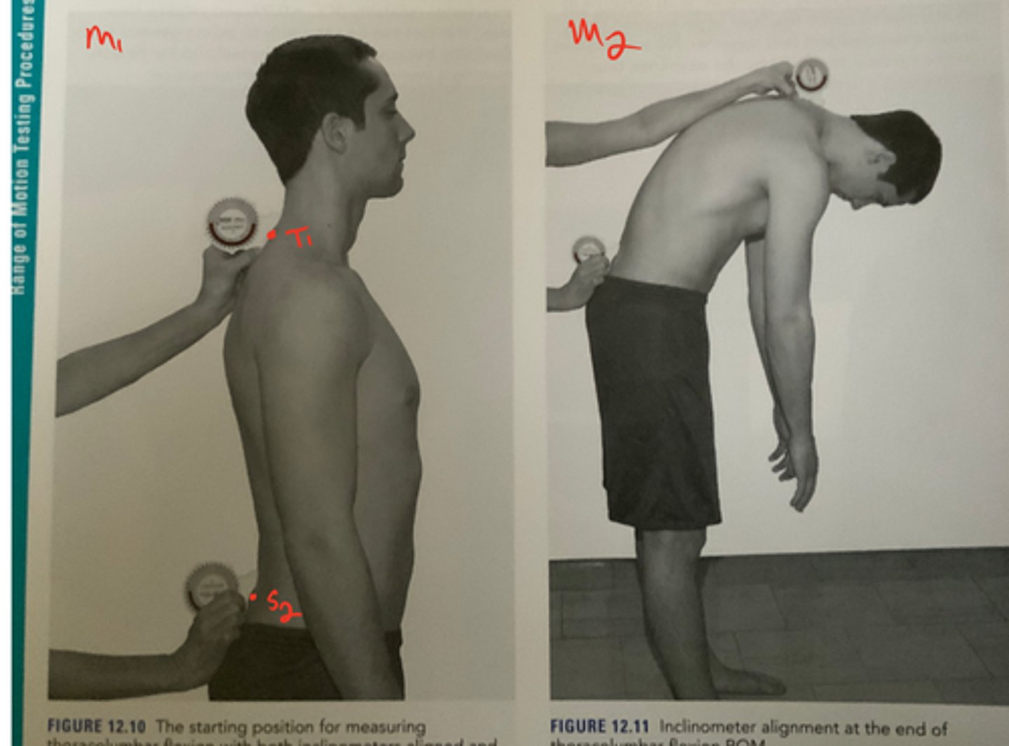 <p>T1 and S2<br><br>normal = 60</p>
