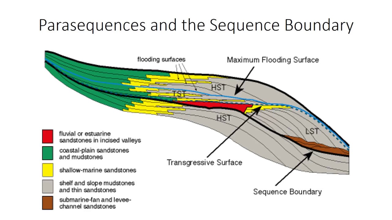 <p>Sequence boundaries are geological features that represent the transition between two distinct sedimentary sequences, typically indicating a significant change in depositional conditions, often associated with changes in sea level. </p>