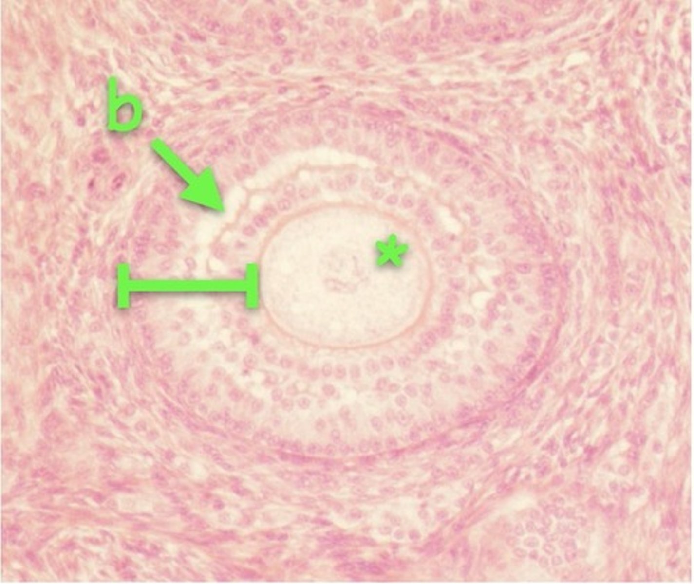 <p>b</p>