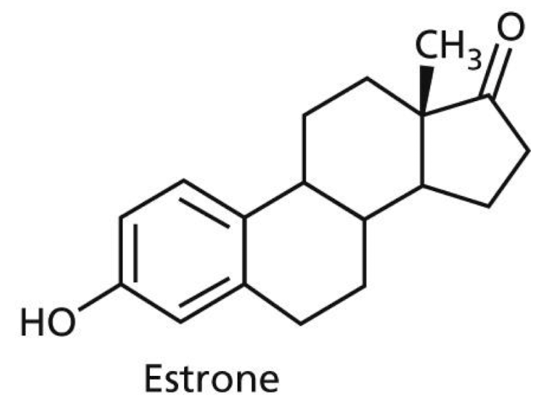 <p>Which intermolecular interactions are possible with estrone?:</p><p>a) VDW, H-bond, Dipole-Dipole</p><p>b) Ionic, Dipole-Dipole, H-bond</p><p>c) Hydrophobic, Ionic, VDW</p><p>d) H-bond, VDW</p>