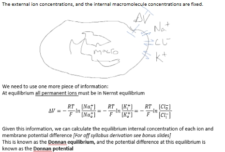 <p><span style="line-height: 0px;"><span>The external ion concentrations, and the internal macromolecule concentrations are fixed.​</span></span></p>