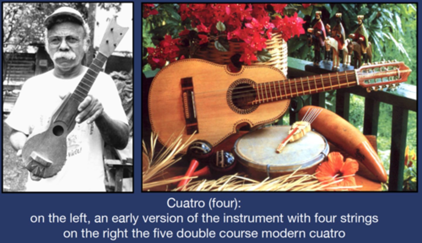 <p>Venezuelan instrument, small body, four strings</p>