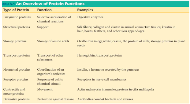 <p>structural support, storage, transport cellular communications, movement and defense against foreign substances </p>