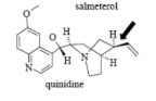 <p>Name Enzyme&nbsp;</p>