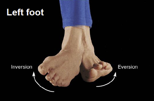 <p>when the foots sole turns laterally</p>