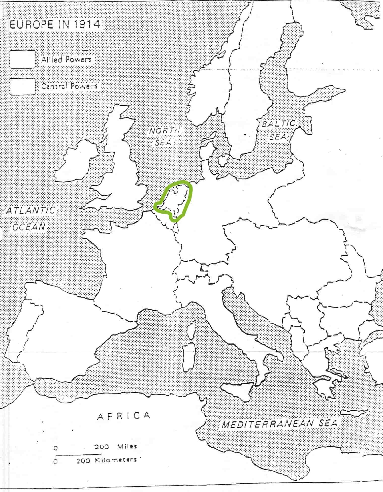 term image