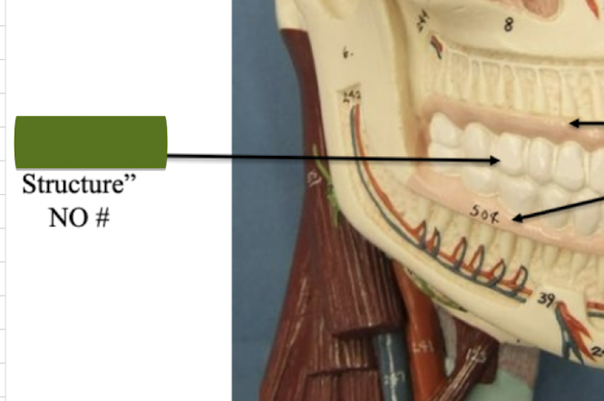 <p>Label structure :) </p>