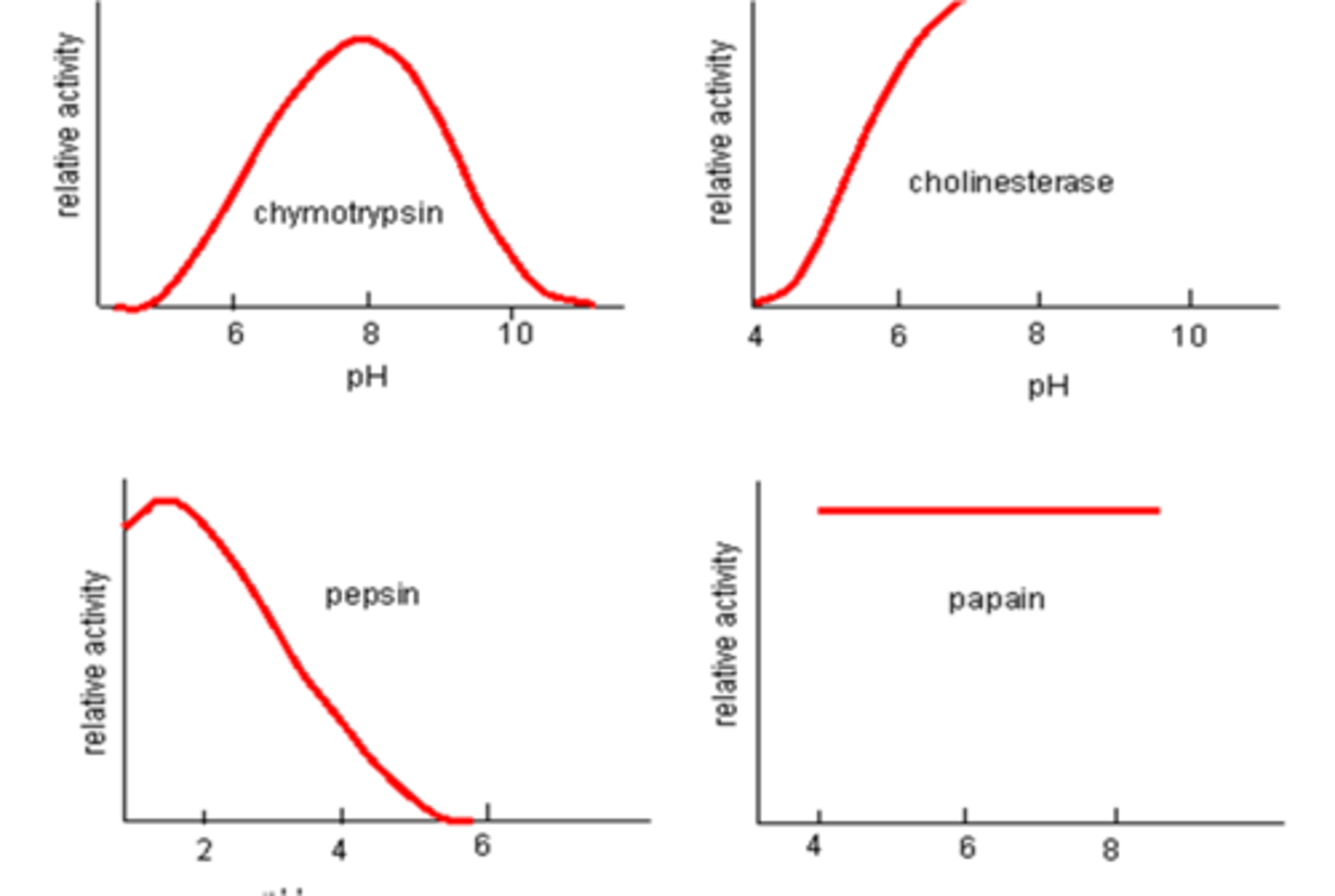 <p>An active site of an enzyme must have the same charge as the charged areas of the substrate that bind to it. If pH is too acidic or basic, this can interfere with these charges and even cause the bonds between the proteins in the enzyme to break, denaturing it. Often enzymes work in quite a narrow pH range but this differs between enzymes as they work in different environments e.g. enzymes in the stomach will work in acidic conditions whereas enzyme in bile are alkaline</p>