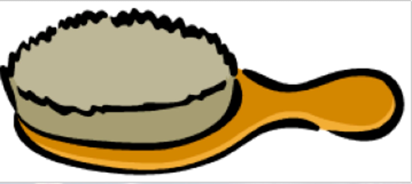 <p>щітка</p>