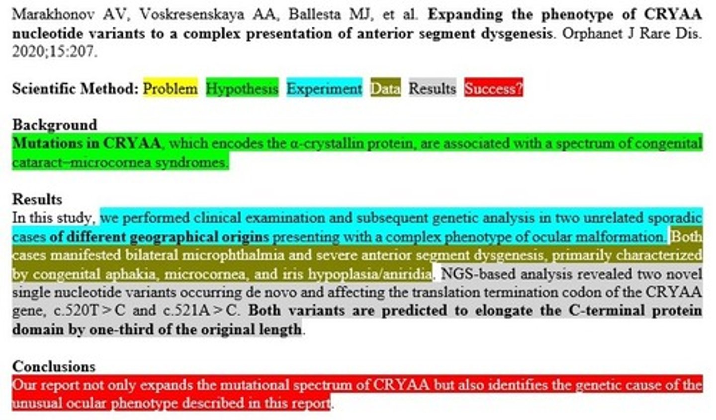 <p>D. Vision</p><p>3 multiple choice options</p>