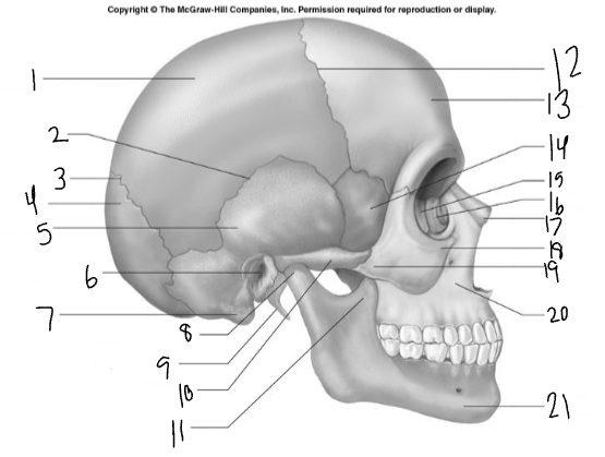 <p>5</p>