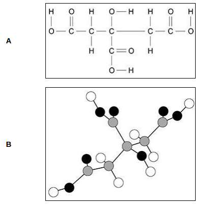 <p>Give two advantages of representation A compared with representation B. Advantages of A:(2)</p>