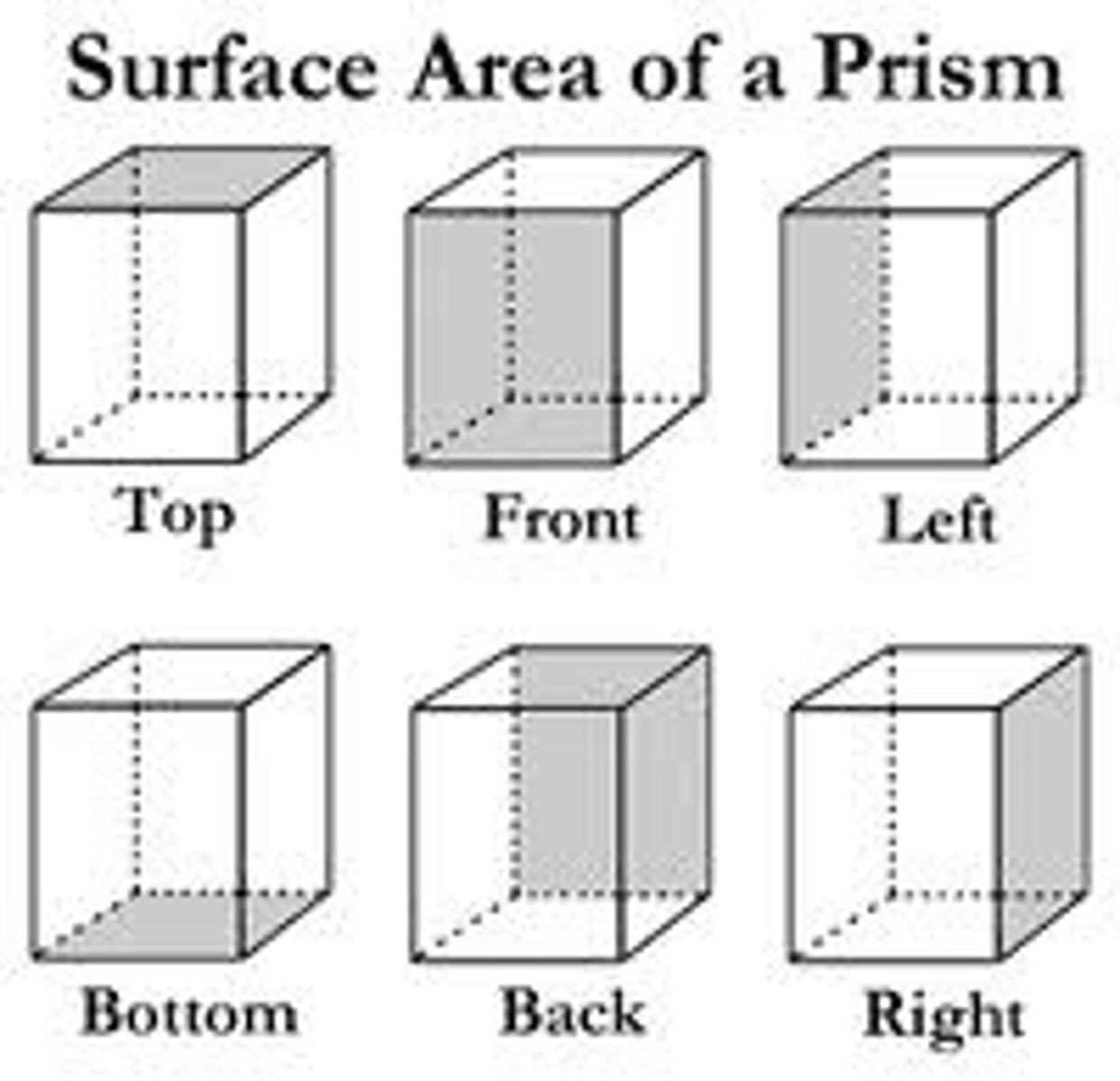 <p>The total area of the surface of a three-dimensional object.</p>