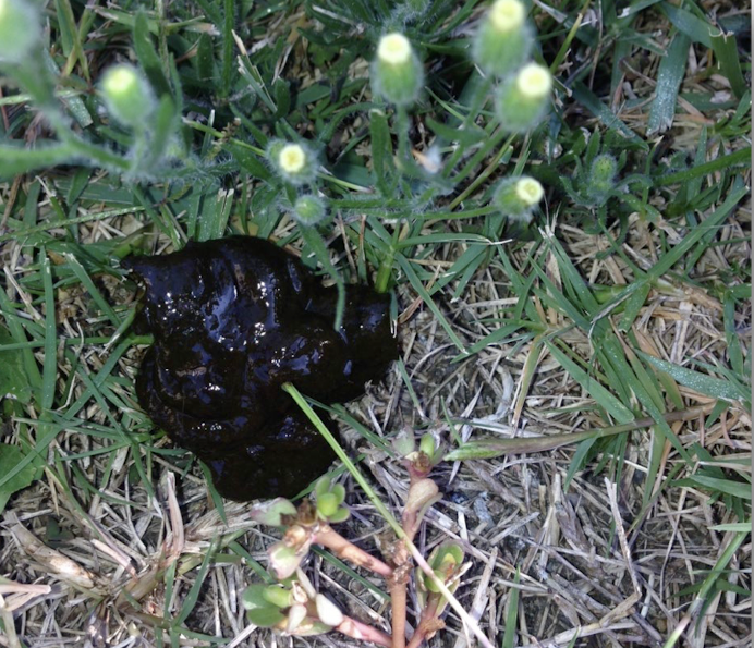 <p>What is this showing?</p>