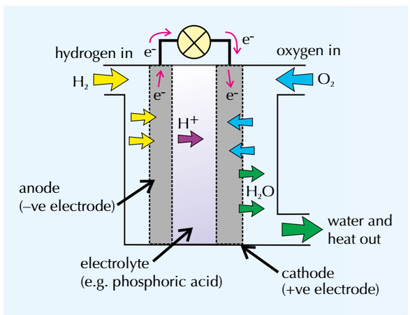Hydrogen-Oxygen Fuel cells