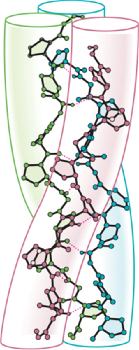 <p>Result from the combination of alpha- and beta-strands.</p><p>It is basically a bunch of coils together.</p><p>The collagen triple helix is an example of this structure, with all 3 individual collagen chains as helices that differ from the alpha helix</p>