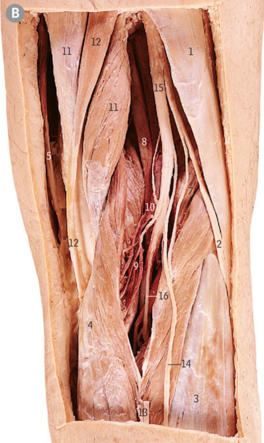 <p>2</p>