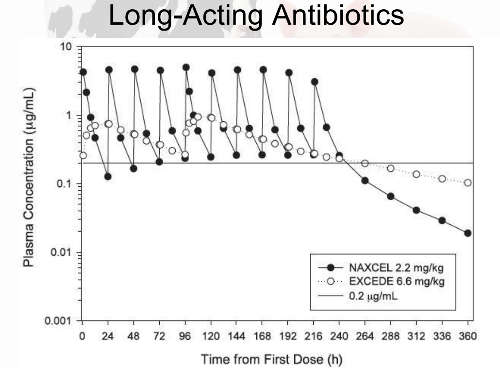 <p>long-acting antibiotics</p><p></p>