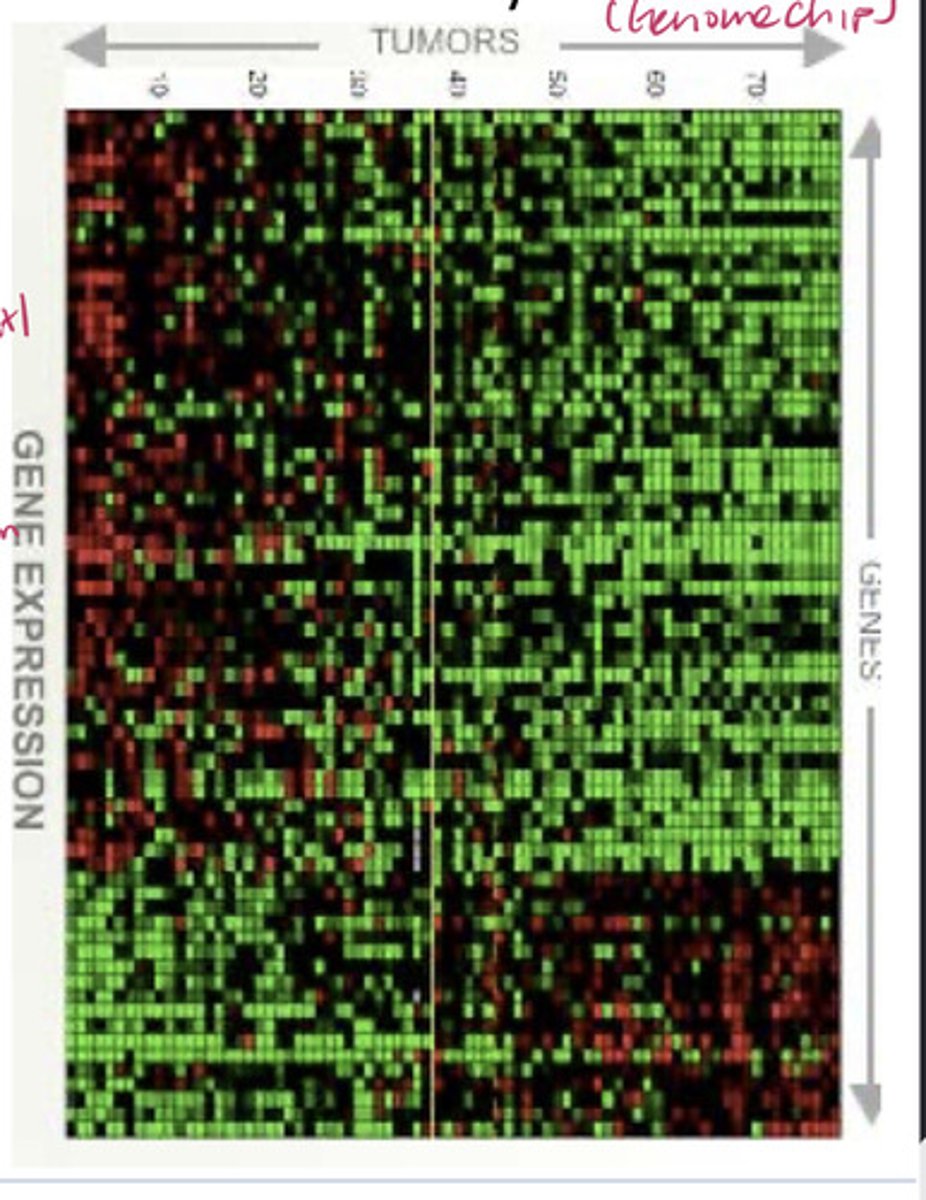<p>To monitor the expression of large groups of genes across a genome.</p>
