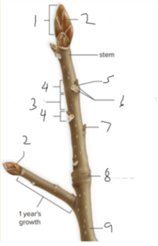 <p>What is 1</p>