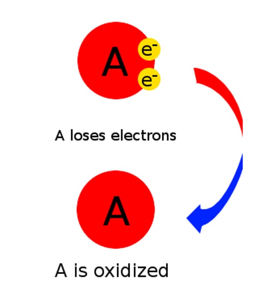 <p>gains electrons</p>