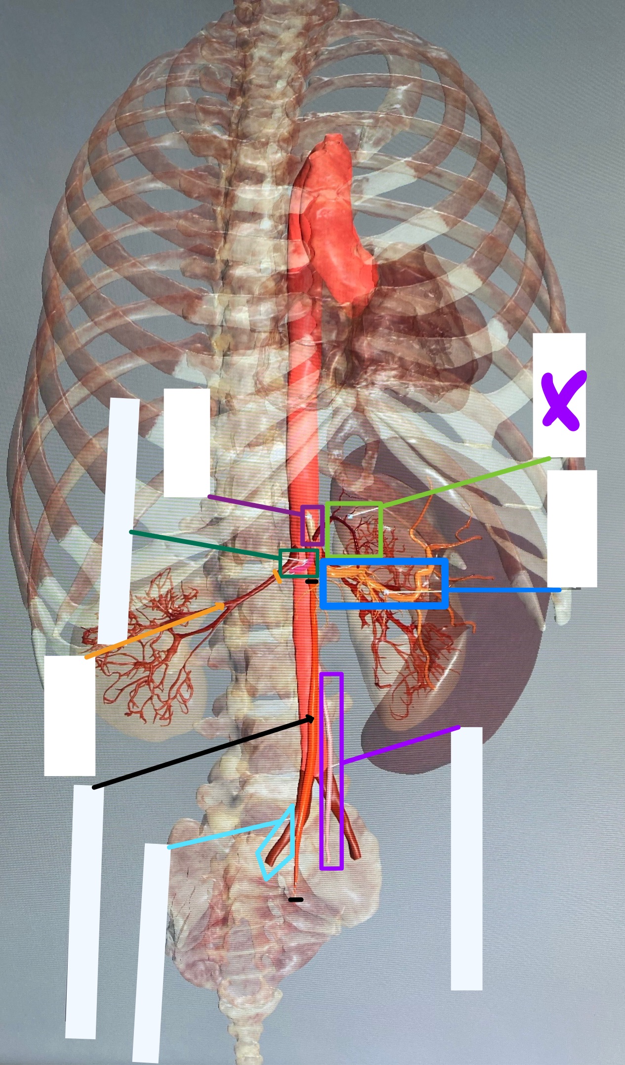 knowt flashcard image