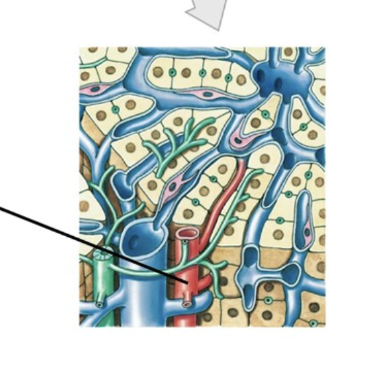 <p>What is the line pointing to&nbsp;</p>