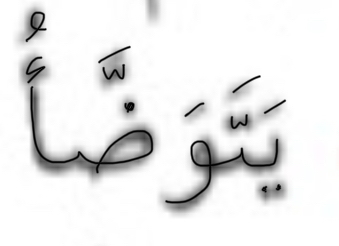term image