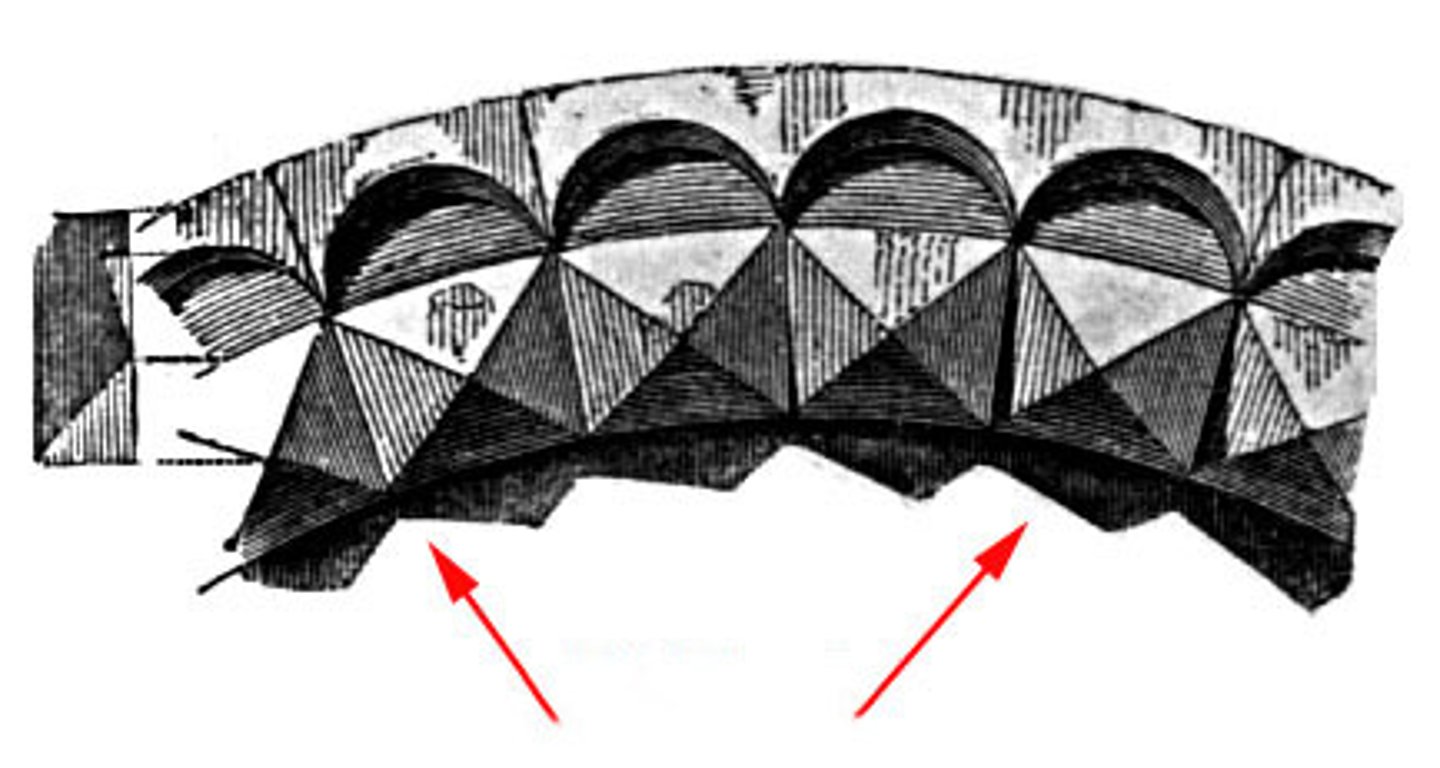 <p>What moulding featured a series of small</p><p>contiguous projecting pyramids?</p>