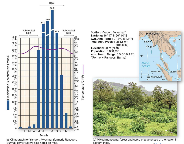 <p>what is an example of an <strong>Am </strong>climate?</p>