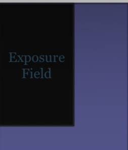 <p>Is this single exposure field ideal, permitted, or inappropriate?</p>