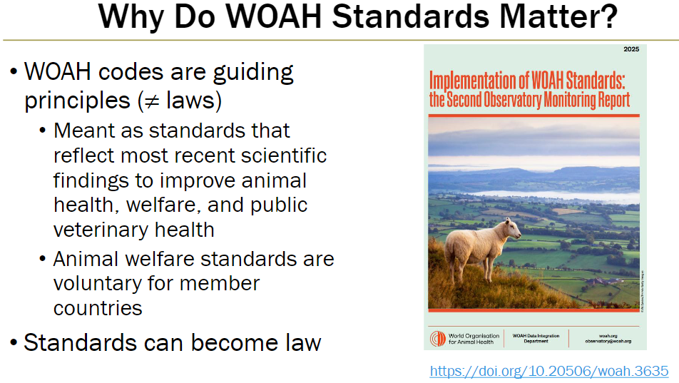 <p><strong>Guiding Principles</strong><br> WOAH codes serve as guiding principles, not laws<br> Reflect the latest scientific findings to improve animal health, welfare, and public veterinary health<br> Animal welfare standards are voluntary for member countries<br> Standards can be adopted into law</p>