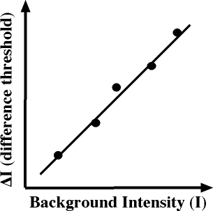 <p>Made the term “just noticeable difference”</p><ul><li><p>threshold at which you will feel a change in any sensation</p></li></ul><p></p>