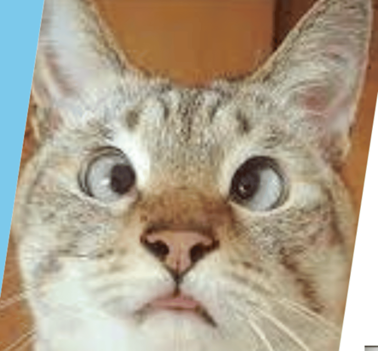 <p>this is called...</p>