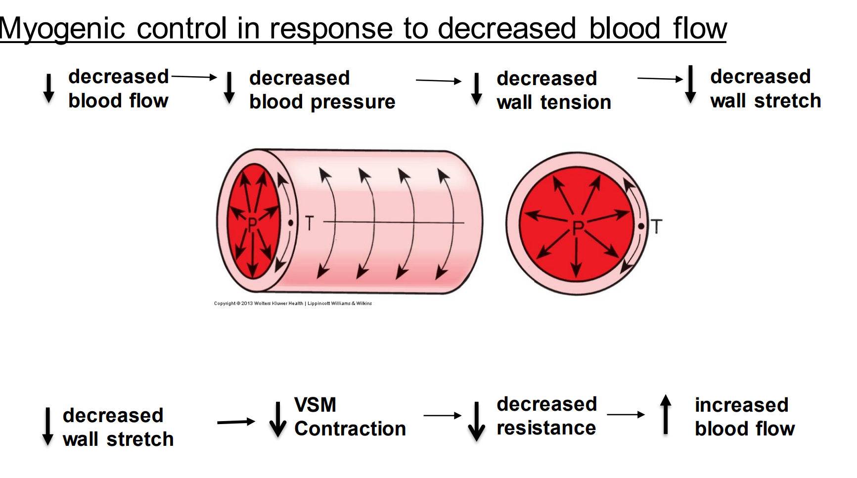 <p>Myogenic control of the basal tone also occurs in response to decreased blood flow, why?</p>
