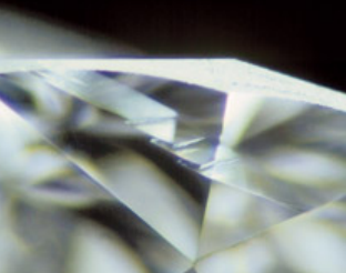 <p>What inclusions is this?</p>