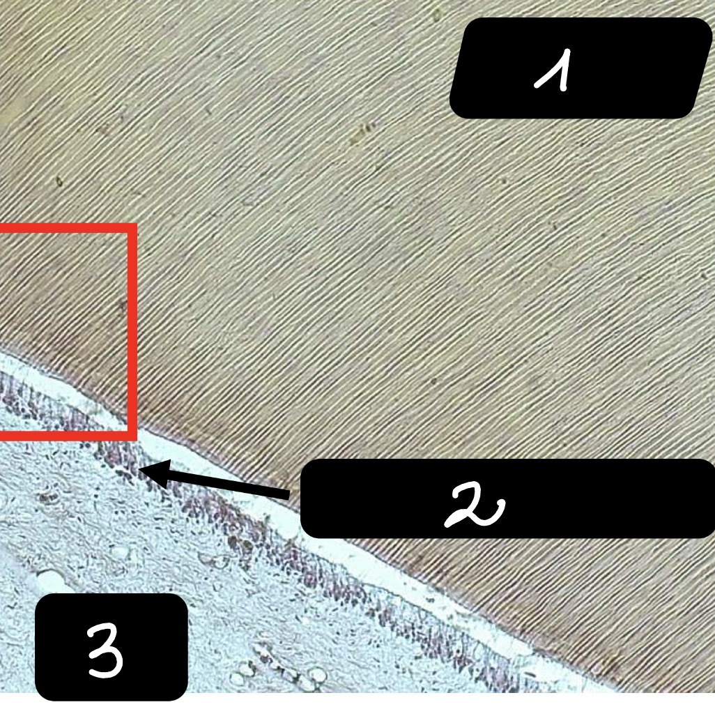 <p>2</p>