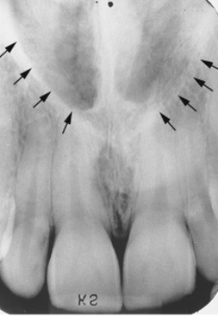 <p>identify the structure </p>