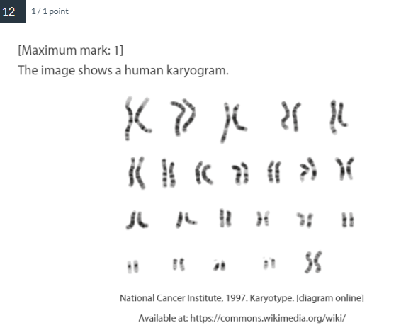 <p>What does this show?</p>