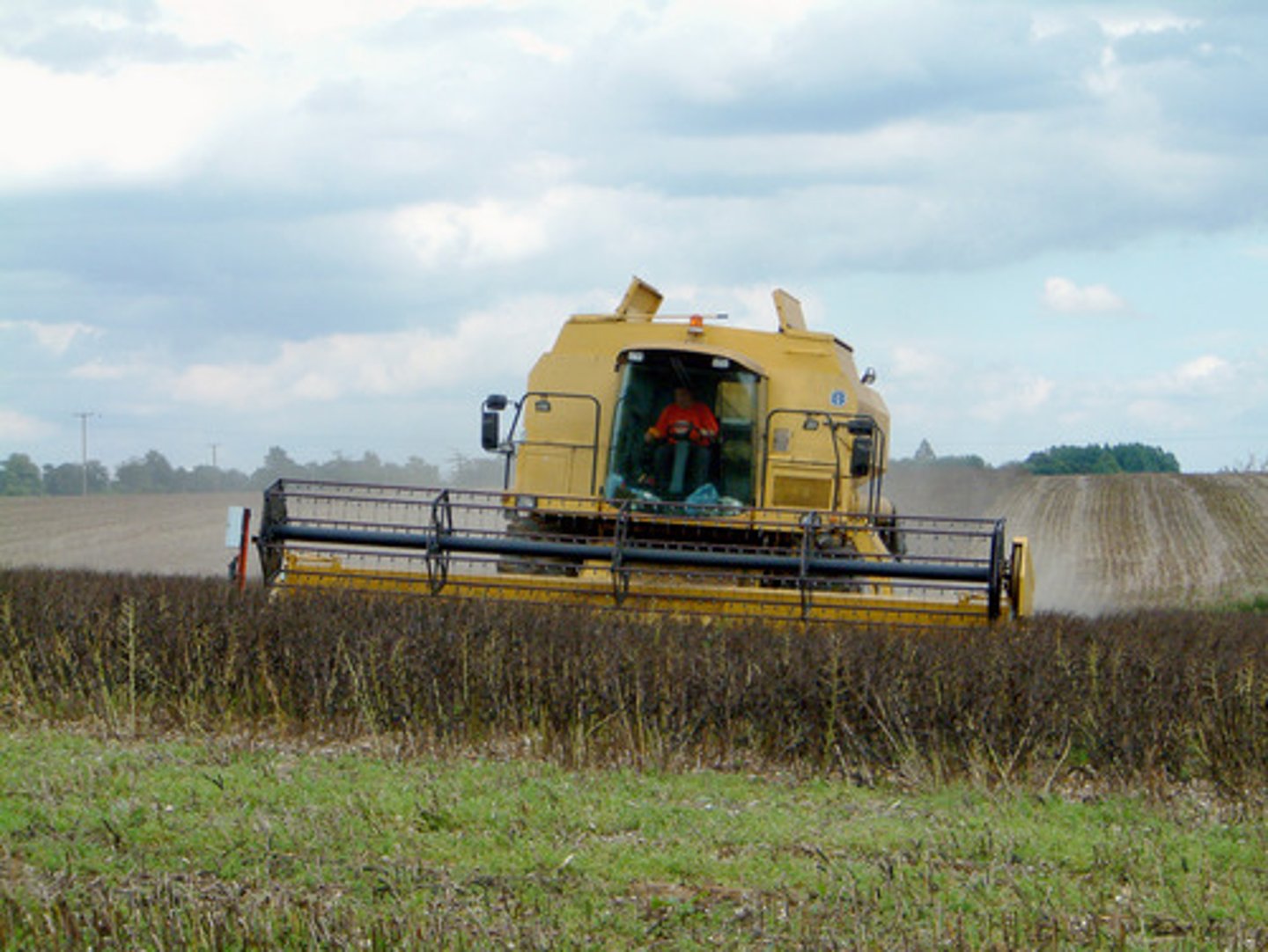 <p>machine that reaps, threshes, and cleans gram while moving over a field</p>