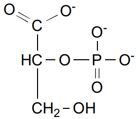 <p>2-Phosphoglycerate (2PG)</p>