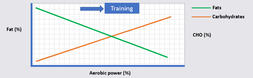 <p>theoretical model that explains the balance of CHO and fat usage during sustained exercise</p>