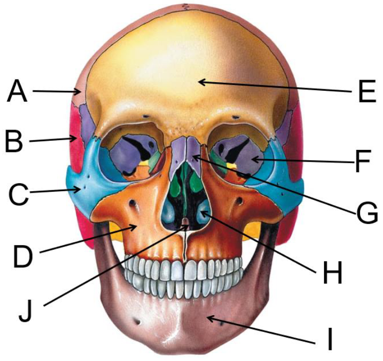 <p>What is H?</p>