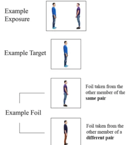 <p>Vestner et al. (2019)'s research indicates that pairs of people facing each other are detected faster in visual search tasks compared to pairs arranged back-to-back. </p><p>This "search advantage" stems from a general attention orienting mechanism guided by low-level directional cues, rather than a specialized system for processing social interactions.</p><ul><li><p>Participants were better at remembering all details in interacting dyads than non-facing.</p></li><li><p>BUT they were better at discriminating correct from incorrect when foils were from a different pair only for facing pairs.</p></li><li><p>Suggests pairs are remembered together when they’re seen as interacting.</p></li></ul><p></p>
