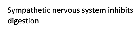 external factors (smell, taste, etc. - extrinsic) are affected by the sympathetic and parasympathetic nervous system