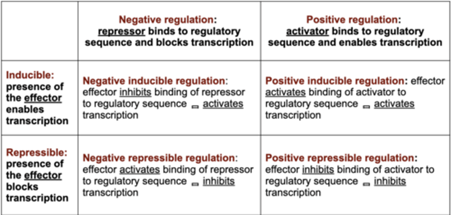 <p>What are the 4 types of regulatory systems? Memorize chart</p>