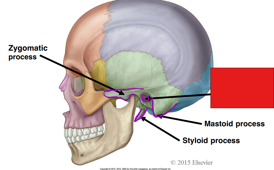 <p>Fill in the red box:</p>