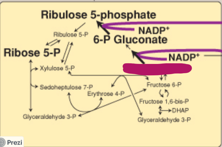 <p>Label this step of the PPP.</p>
